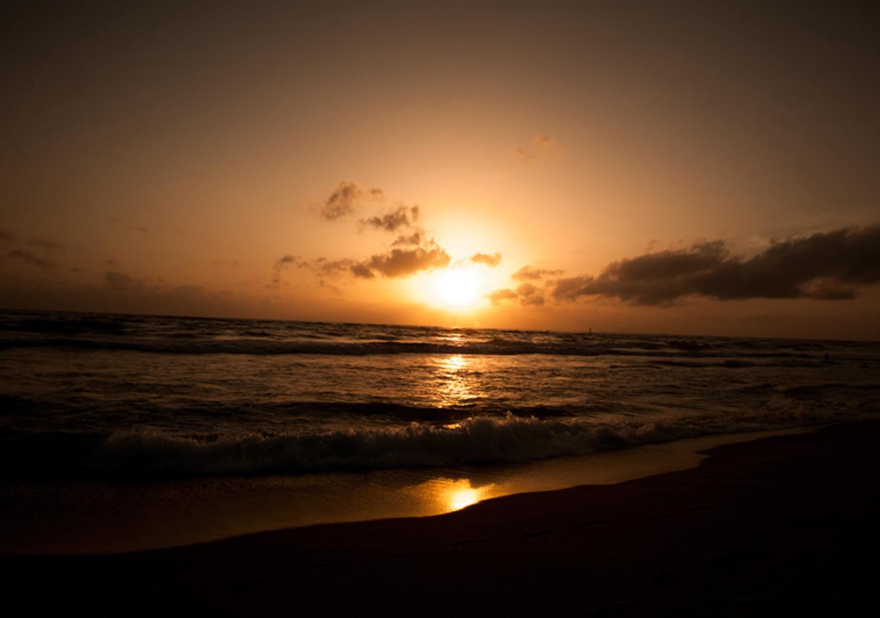 Colombo Lavinia Beach Hostel Dehiwala-Mount Lavinia Buitenkant foto